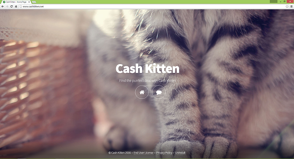 Cash Kitten adware