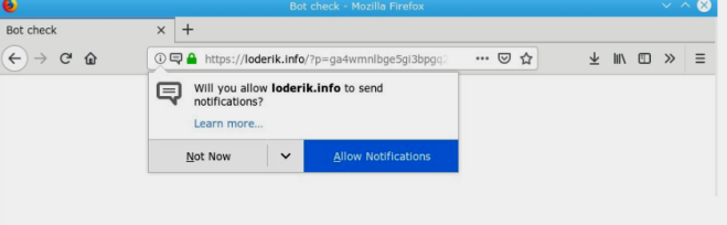 How to remove Loderik.info ads