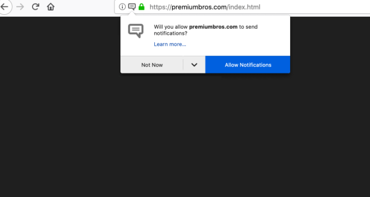 Delete https://Premiumbros.com, kqg3.Premiumbros.com, jzz3.Premiumbros.com, zhlg.Premiumbros.com, i979.Premiumbros.com virus notifications