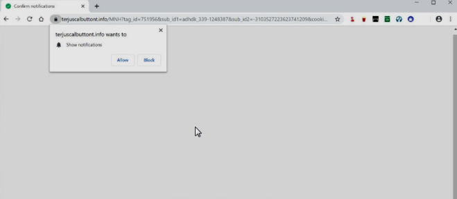 How to remove Terjuscalbuttont.info ads