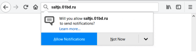 How to remove Saltjs.01bd.ru