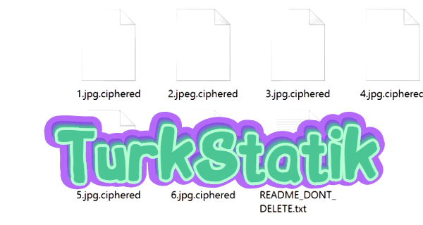 Remove TurkStatik ransomware