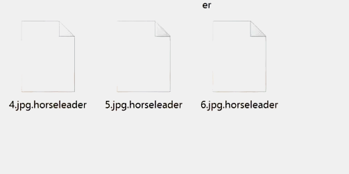 horseleader ransomware