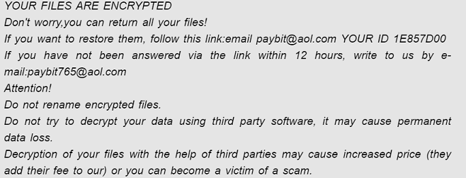 remove payb ransomware
