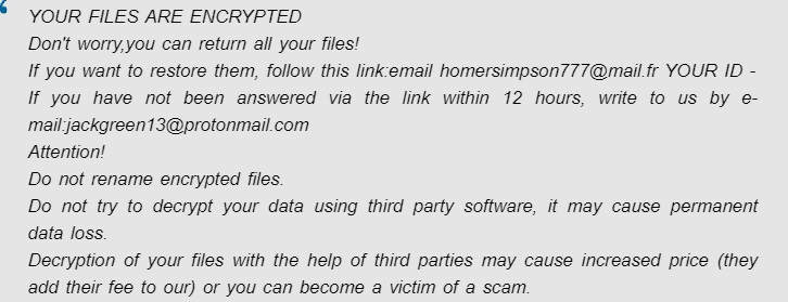 homer ransomware virus