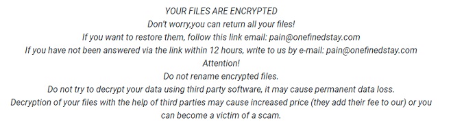 pain onefinedstay.com java ransomware