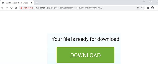 purplemedia.biz pop-up ads