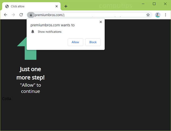 Delete premiumbros.com virus notifications