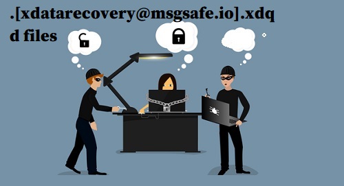xdatarecovery@msgsafe.io.xdqd