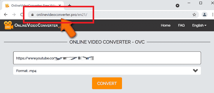 delete Onlinevideoconverter.pro